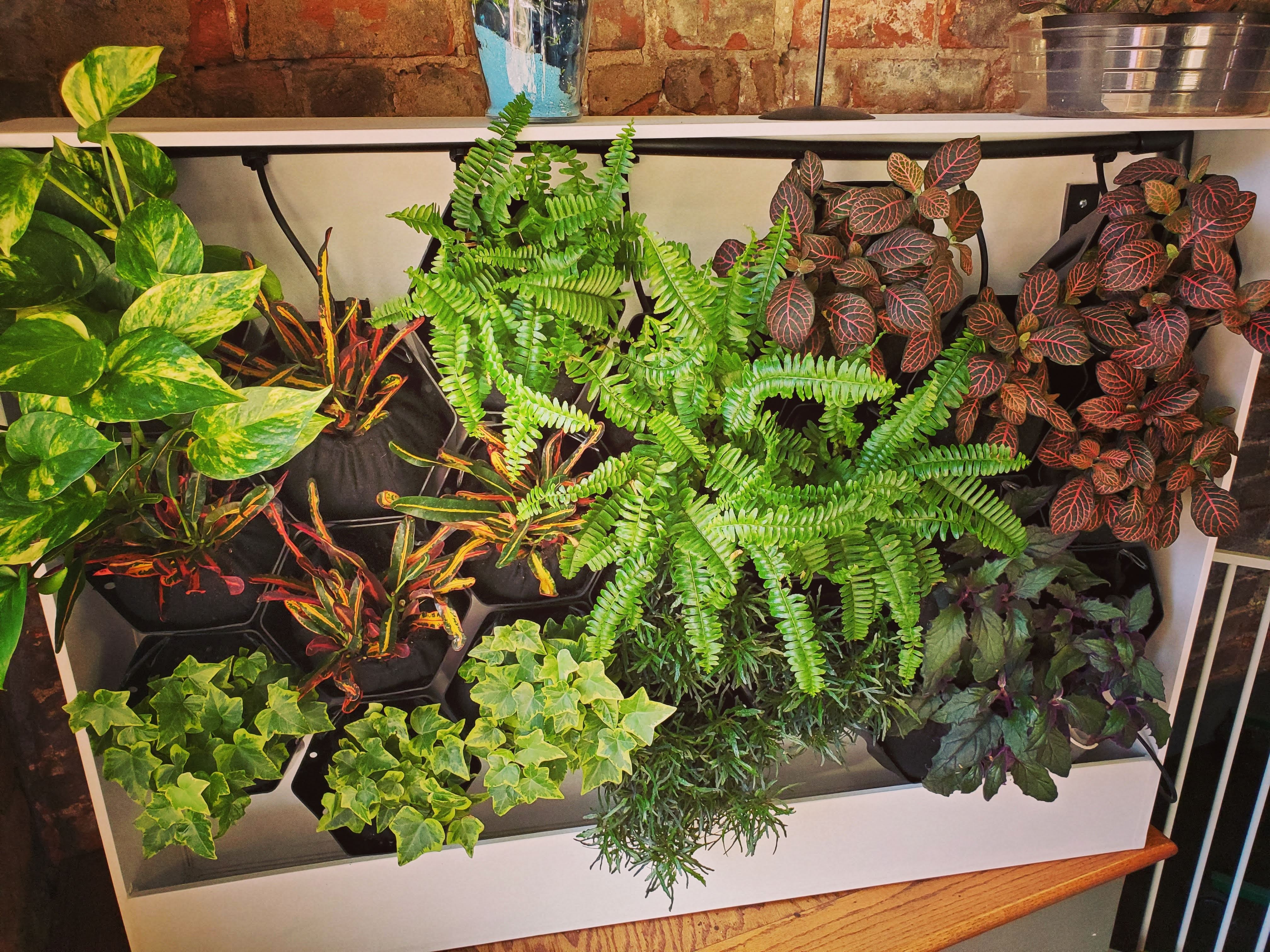 SoCo Organics Garden Center