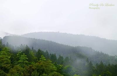 Photos of Riverston Holiday Home Stay