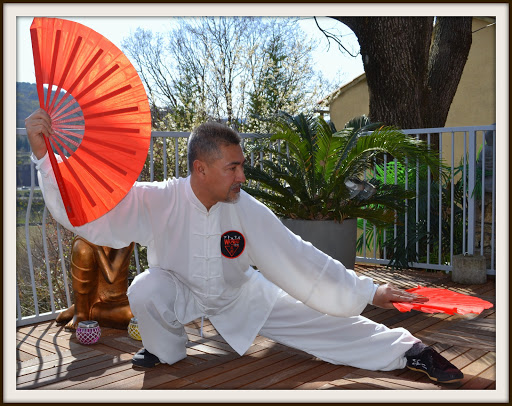 Wushu Arts