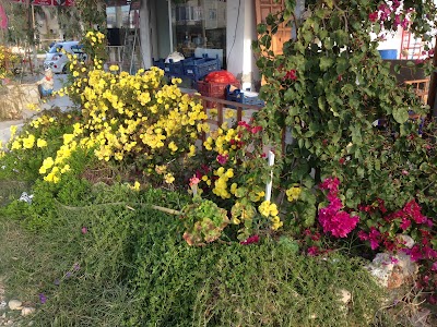 Photos of İlker market