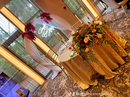 Efflorescence Ltd - Visual