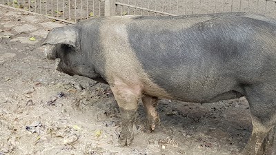 Photos of Salzwedel Zoo