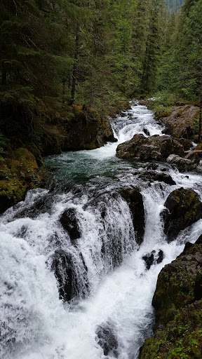 Opal Creek Wilderness - Thumbnail
