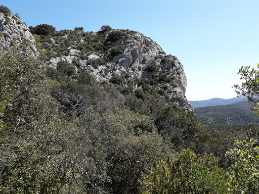 Photo de Foyer de vie de la Salanque