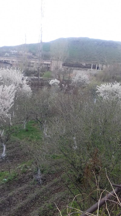 Photos of Агат