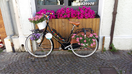tiriparolabici di Walter Piscopo Gallery - Italy