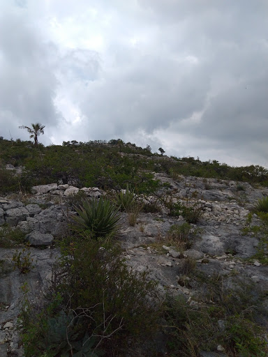 Teperueda - Visual