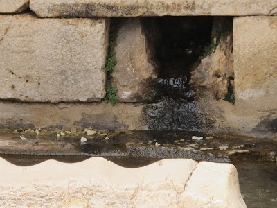 Sagalassos Fountain House and Neon Library