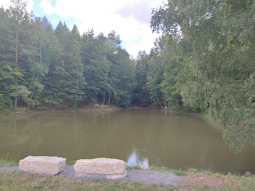 Poppenhäuser Kuhsee - Thumbnail