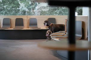 Photo n°39 de FREGIS - Centre Hospitalier Vétérinaire - URGENCES VETERINAIRES 24h24 Paris et alentours à Gentilly (Vétérinaire)