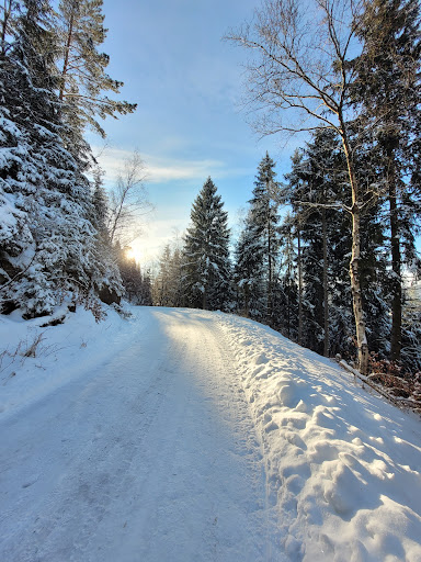 Aussicht Rastplatz - Visual