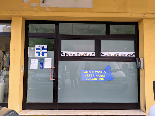 Ambulatorio Veterinario S. Agostino - Thumbnail