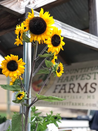 Starkville Community Market