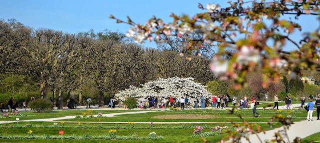 Jardin des Plantes