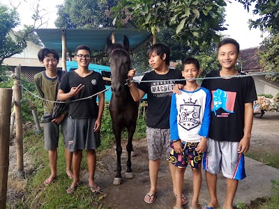 Photos of Mount Rumput