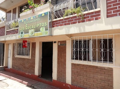Photos of Restaurante Los Eucaliptos