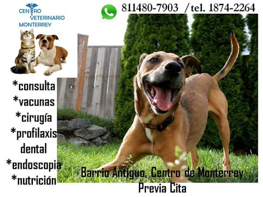 Centro Veterinario Monterrey