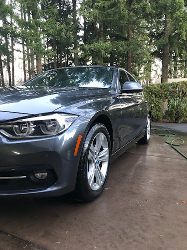 Dulche Auto Detailing