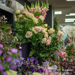 Photo n°39 de Fleurs Et Jardins à Grandvilliers (Fleuriste)