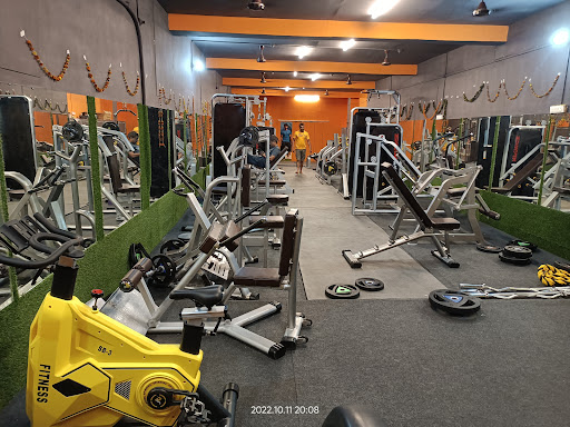 Muscle Paradise Gym