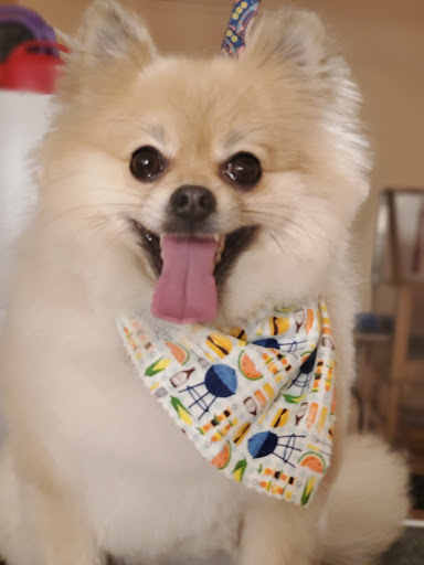 The Gaffney Groomer LLC - Thumbnail