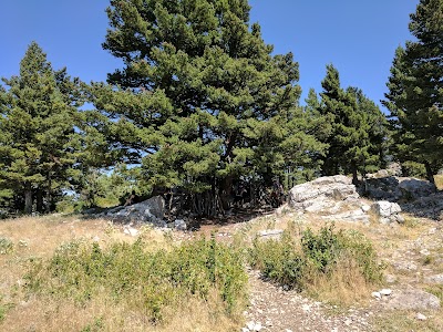 Drinking Horse Mountain Trailhead