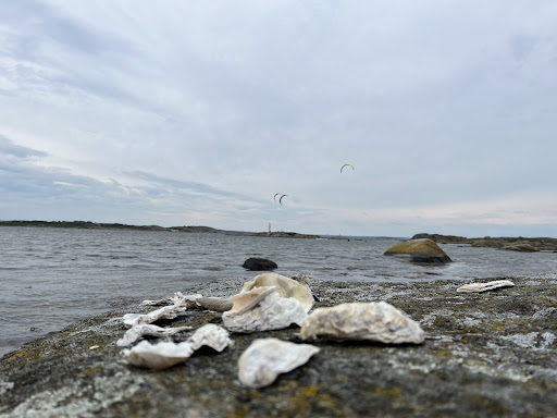 Halse Långe