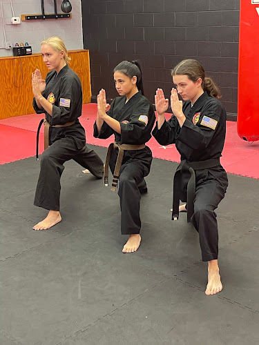 Steve Nugents Karate Institute - brazilian jiu jitsu in Burlington, Massachusetts