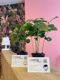 Photo n°2 de Les Copains de l'Immo à Thonon-les-Bains (Agence immobilière)