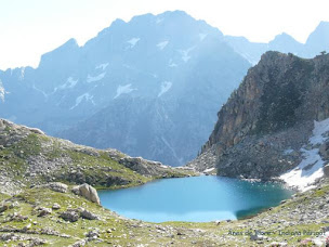 Photo n°10 de Ânes de Blore - donkey trekking à Valdeblore (Parc national)