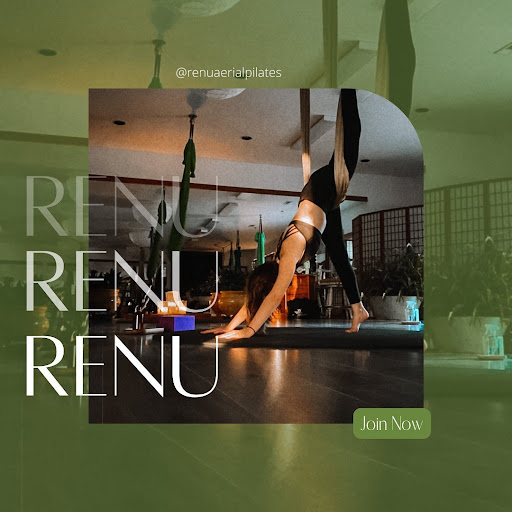 ReNu Aerial Pilates & Wellness Barre Gallery - United States