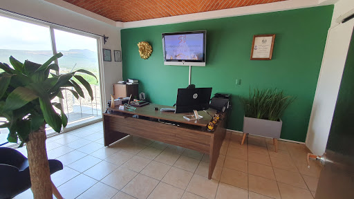 Salmerón Gómez & Asociados Consultoría Contable Fiscal