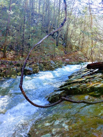 North River Gorge Trail