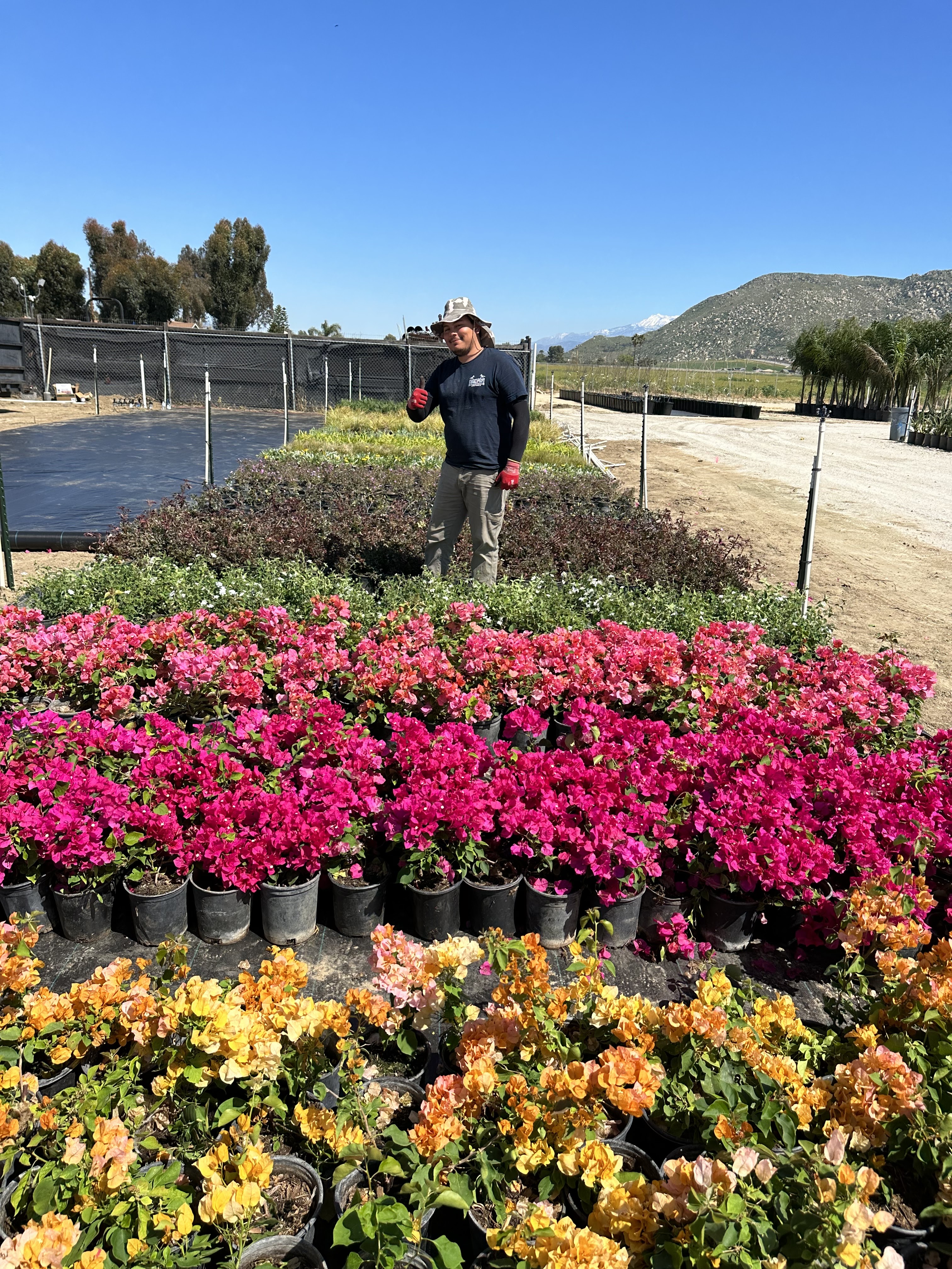Adam Hall's Garden Center