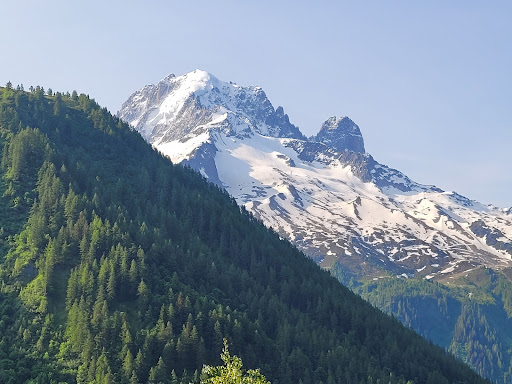 Réserve Aiguilles Rouges Gallery - France