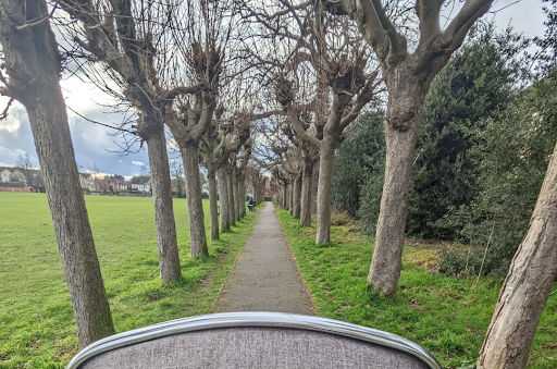 Cintra Park - Thumbnail