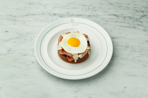 The Parliament New York by null