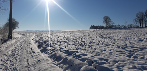 Gasthof Fritzenhof - Thumbnail