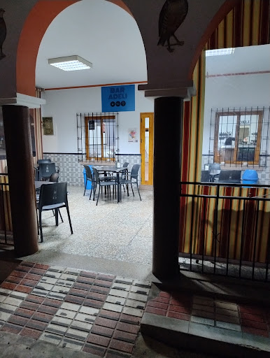 Bar Adeli - Visual