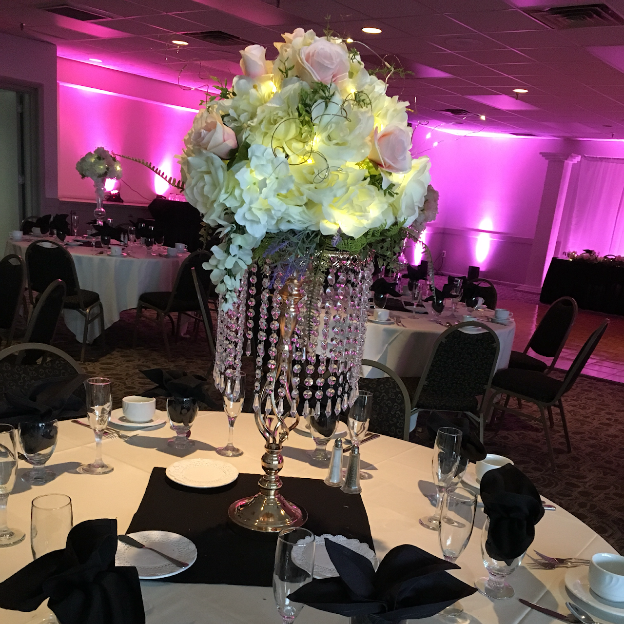 Flowers Salisbury Md Best Flower Site