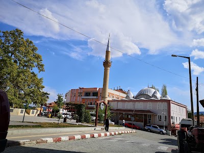 Ağlasun tarihi çınar