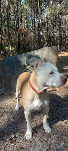 Crossley Nature Trail - Thumbnail