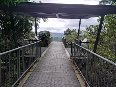 Photos of Mamu Tropical Skywalk