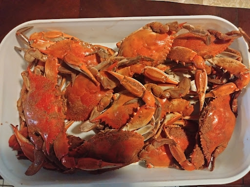 Crab Plus - Visual