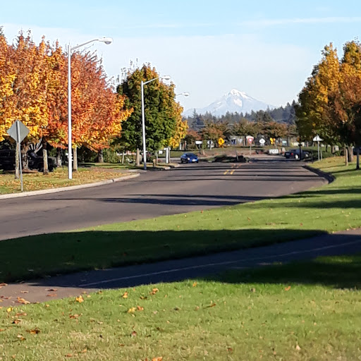 Langer Park - Visual