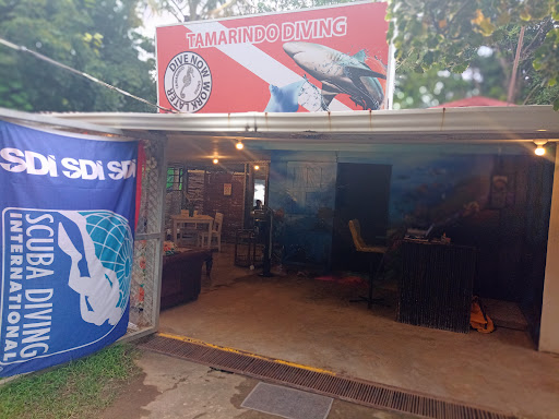 Tamarindo Diving Center Davide Gabbi