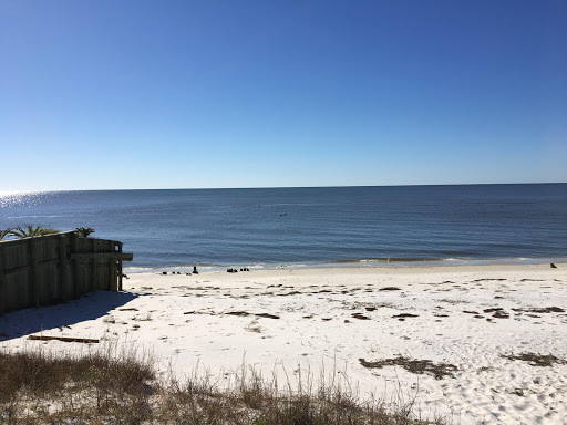 Dolphin Watch - Visual