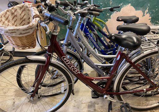 Re-Cycle Wight - Visual