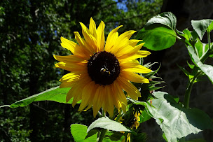 Photo n°15 de Chambres d'hôtes Les Sentiers du Lac à Trémouille (Lac ouvert à la baignade)