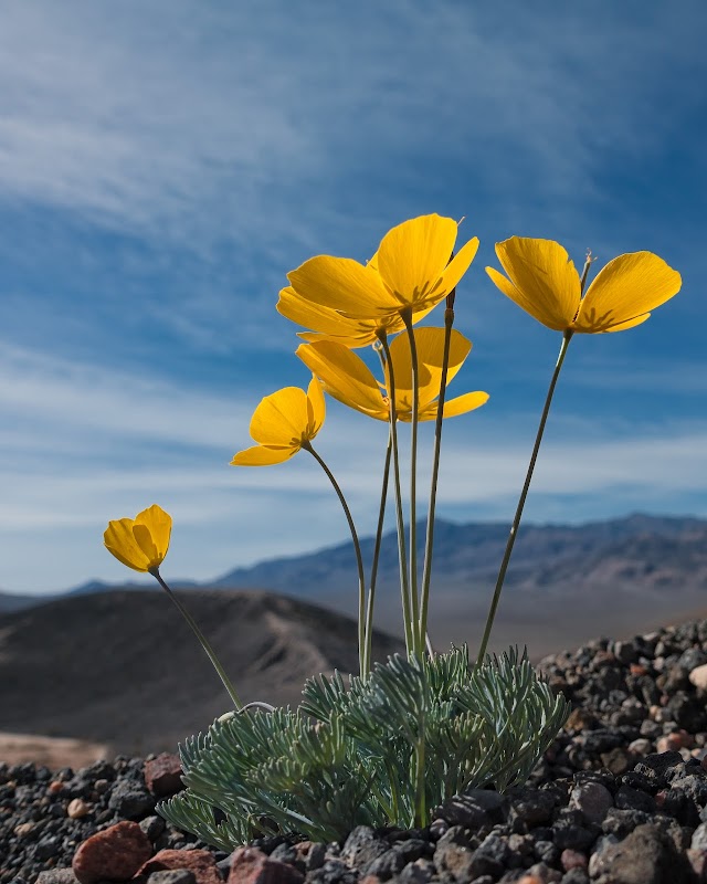 Ubehebe Crater